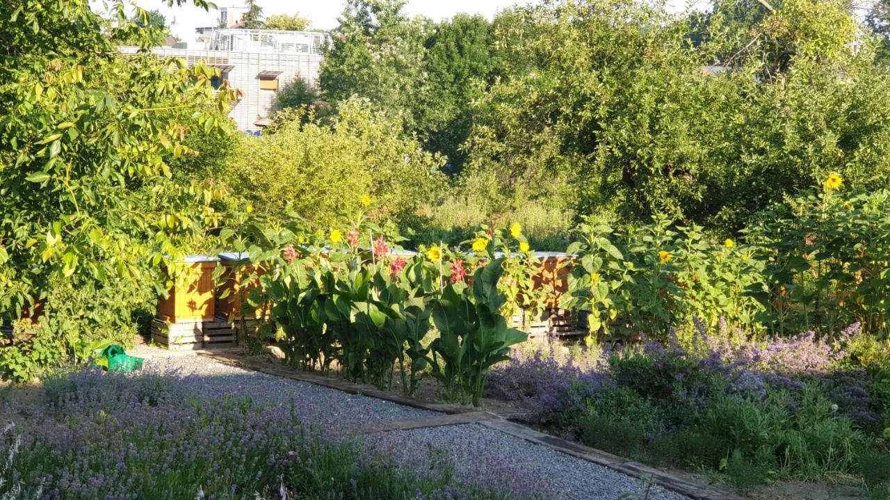 Agroturystyka U Joli Pacanow Exterior photo